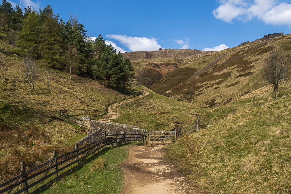 Jacob's Ladder Jacob's Ladder